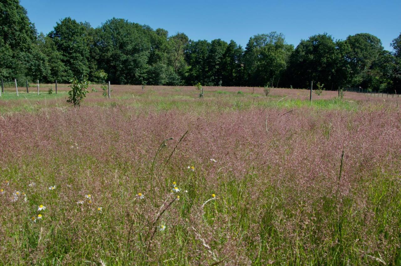 Gite Le Champ Libre Dompierre-Sur-Yon Exteriör bild