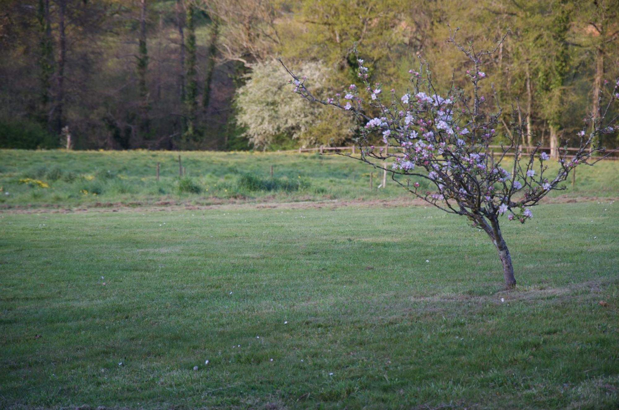 Gite Le Champ Libre Dompierre-Sur-Yon Exteriör bild